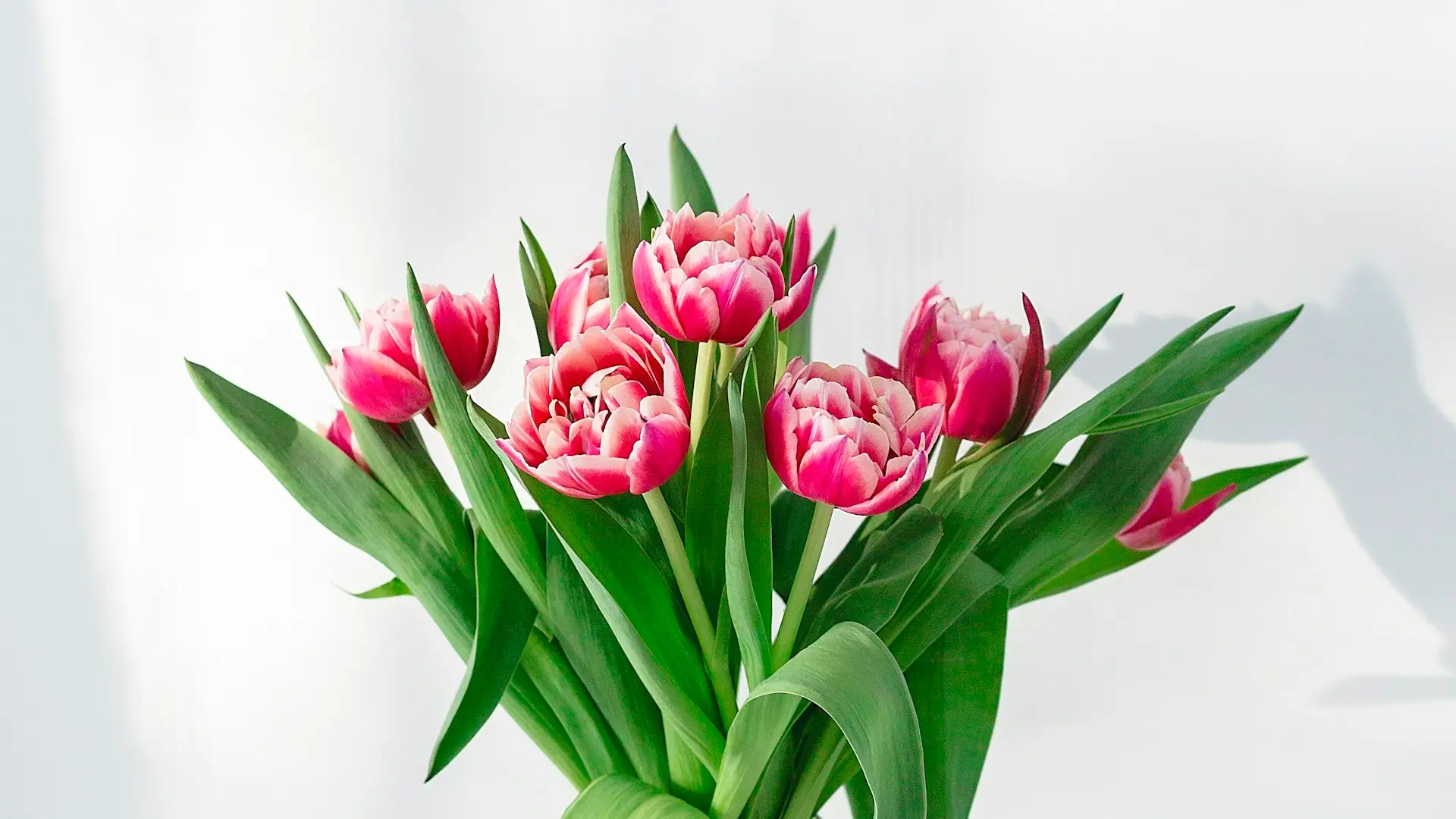 Home photo 1561181286 d3fee7d55364