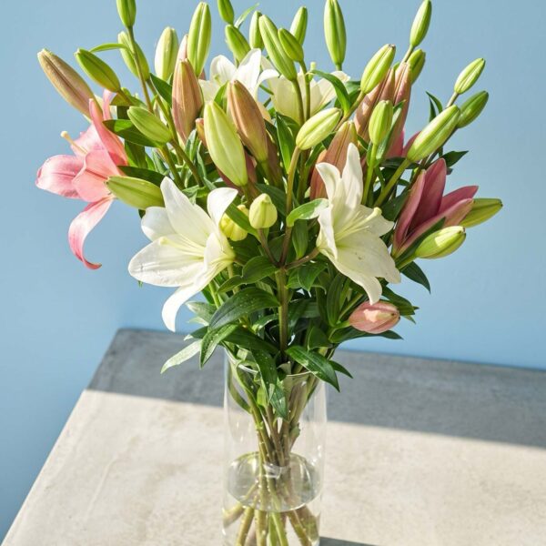 fresh lily bloom bouquet